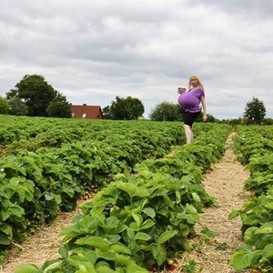 Picking strawberries with Beshine